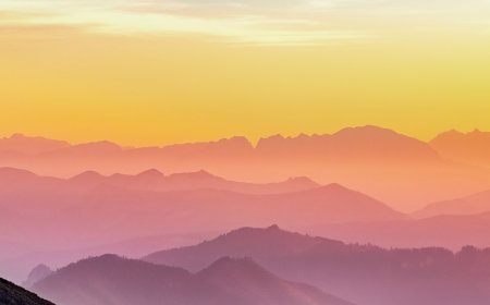 How to Apply For Austria Business Visitor Visa From Pakistan