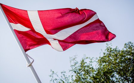 How to Apply For Denmark Tourist Visitor Visa From Pakistan