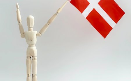 How to Apply For Denmark Permanent Resident  Visa From Pakistan