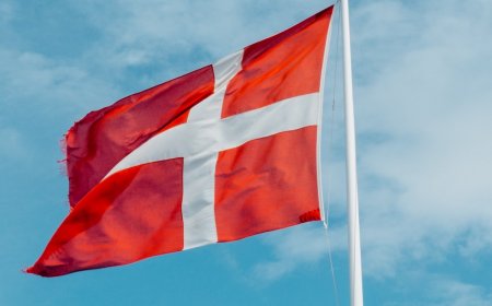 How to Apply For Denmark Study Visa From Pakistan